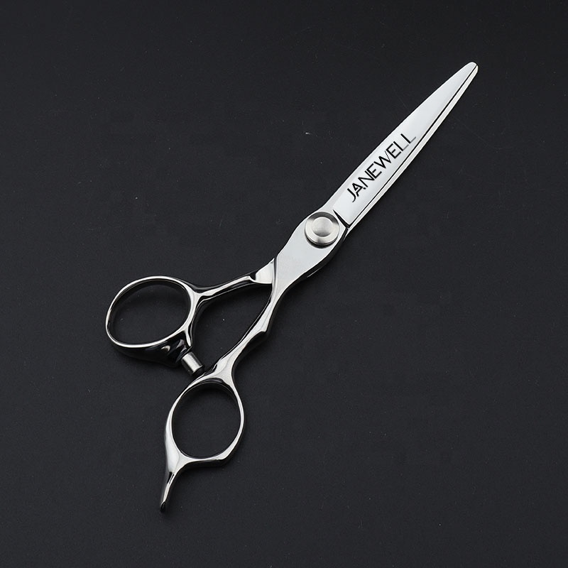 Professional Japanese vg10 Silver cnc cutting shears with hair scissors, 6 inch for barbers and salon hairdressing. - view 1