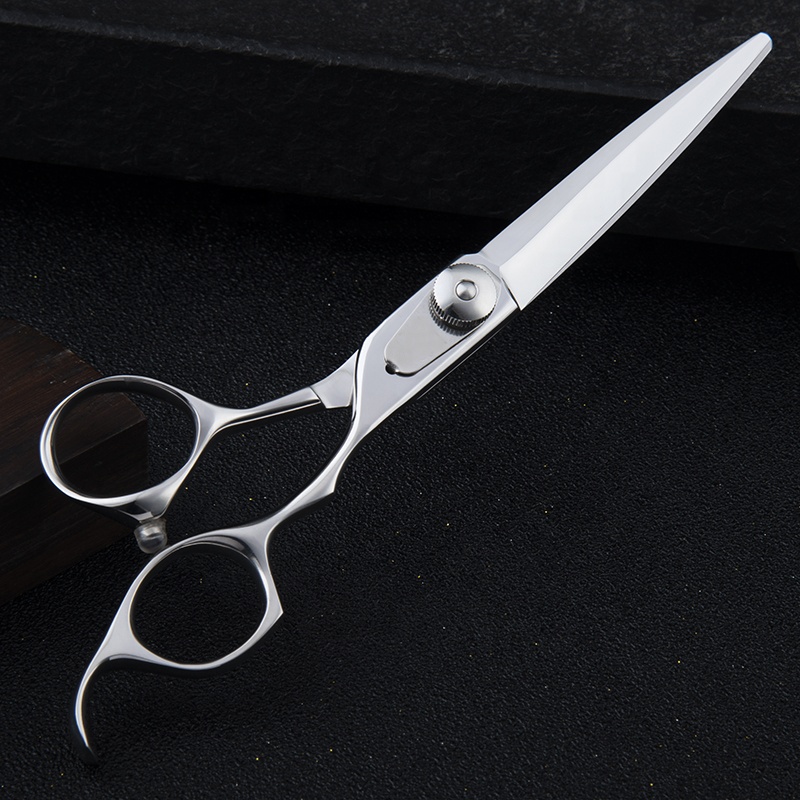 Professional VG10 Japanese steel silver hair salon shears with classic design, 6.0 inch hair cutting shears for hairdressers and salon stylists.
